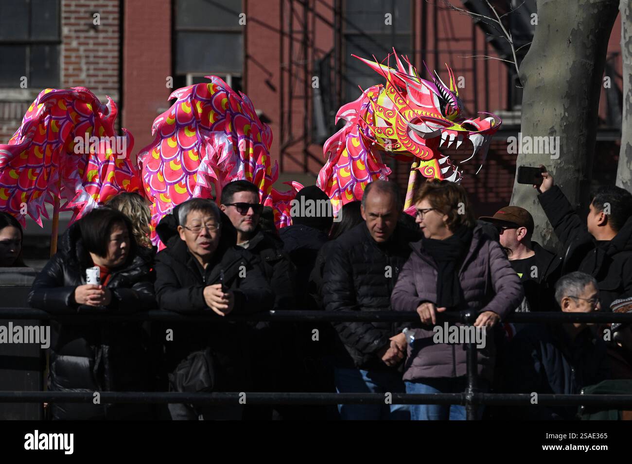 chinatown nyc dragons chinese new years