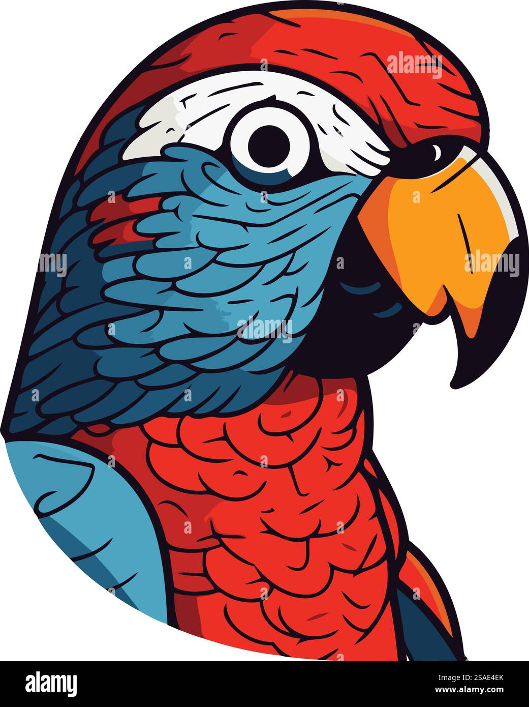 Parrot in a red cap. Vector illustration of a parrot Stock Vector Image ...