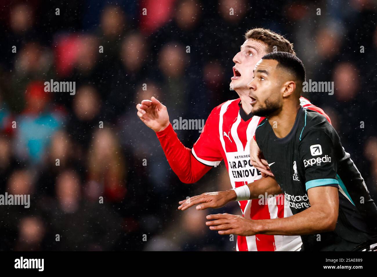 Gakpo's Late Penalty Brace Secures Dutch Win
