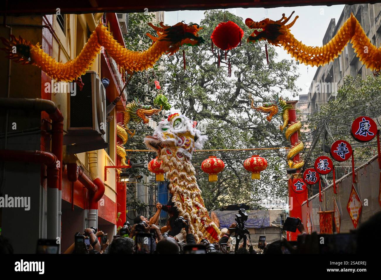 chinese new year 2025 kolkata