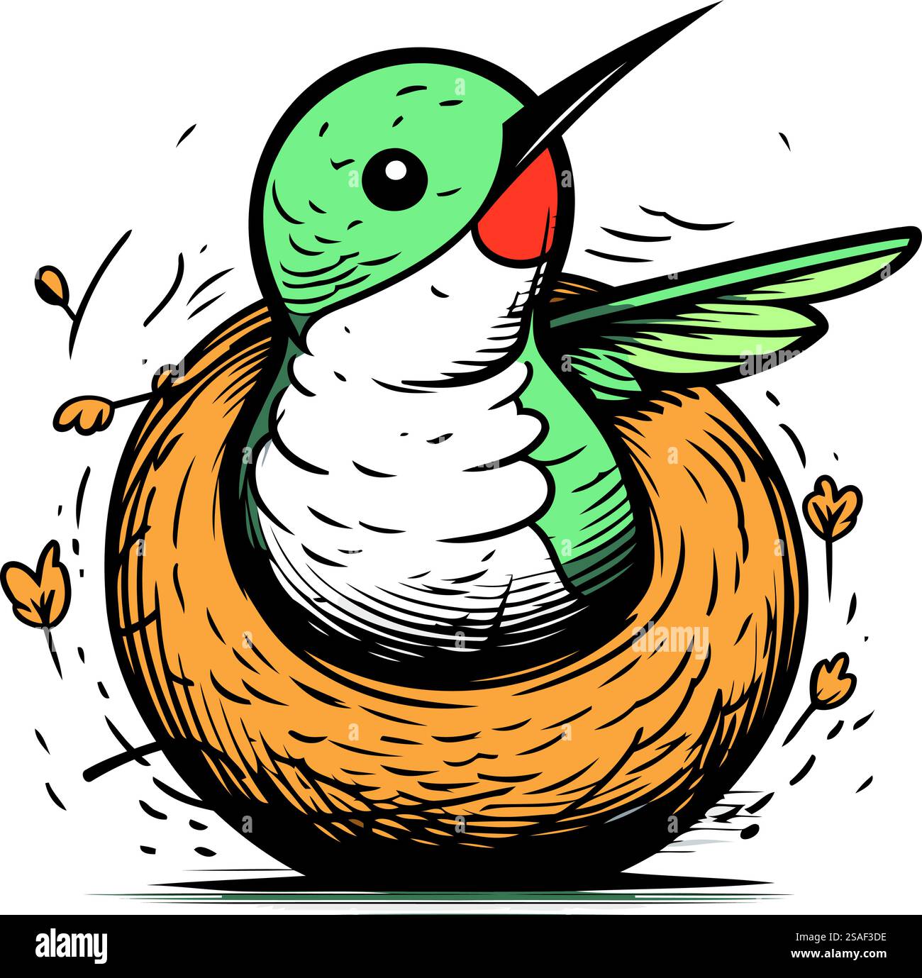 Hummingbird in the nest. Hand drawn vector illustration isolated on ...