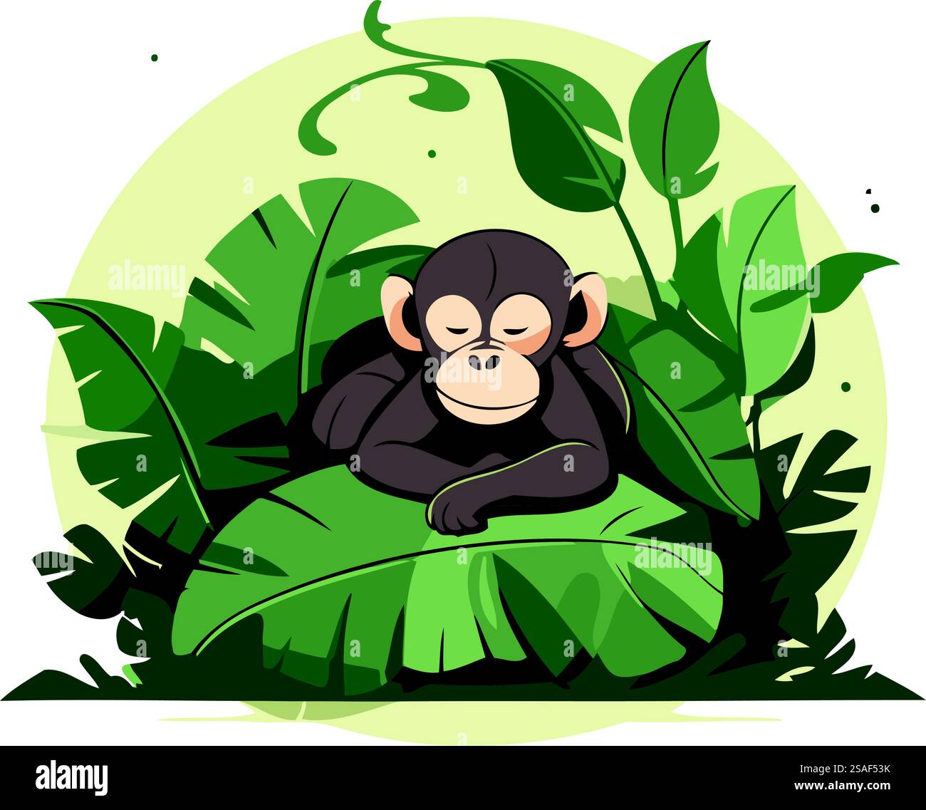 Monkey sitting on a leaf in the jungle. Vector illustration Stock ...