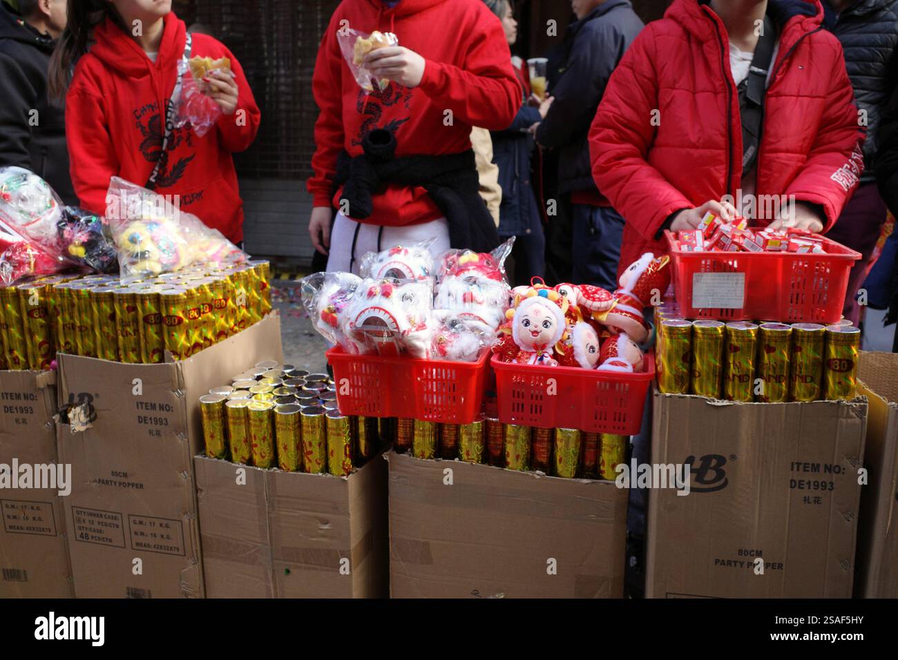 nyc chinatown chinese new year 2025