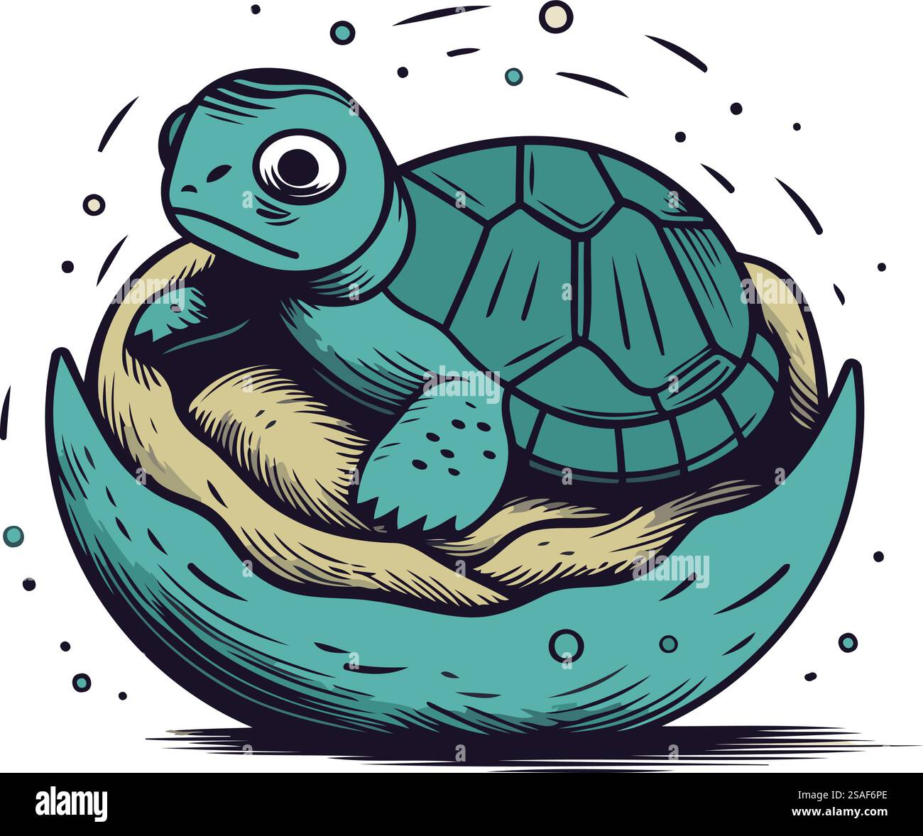 Turtle in the shell. Hand drawn vector illustration in sketch style ...
