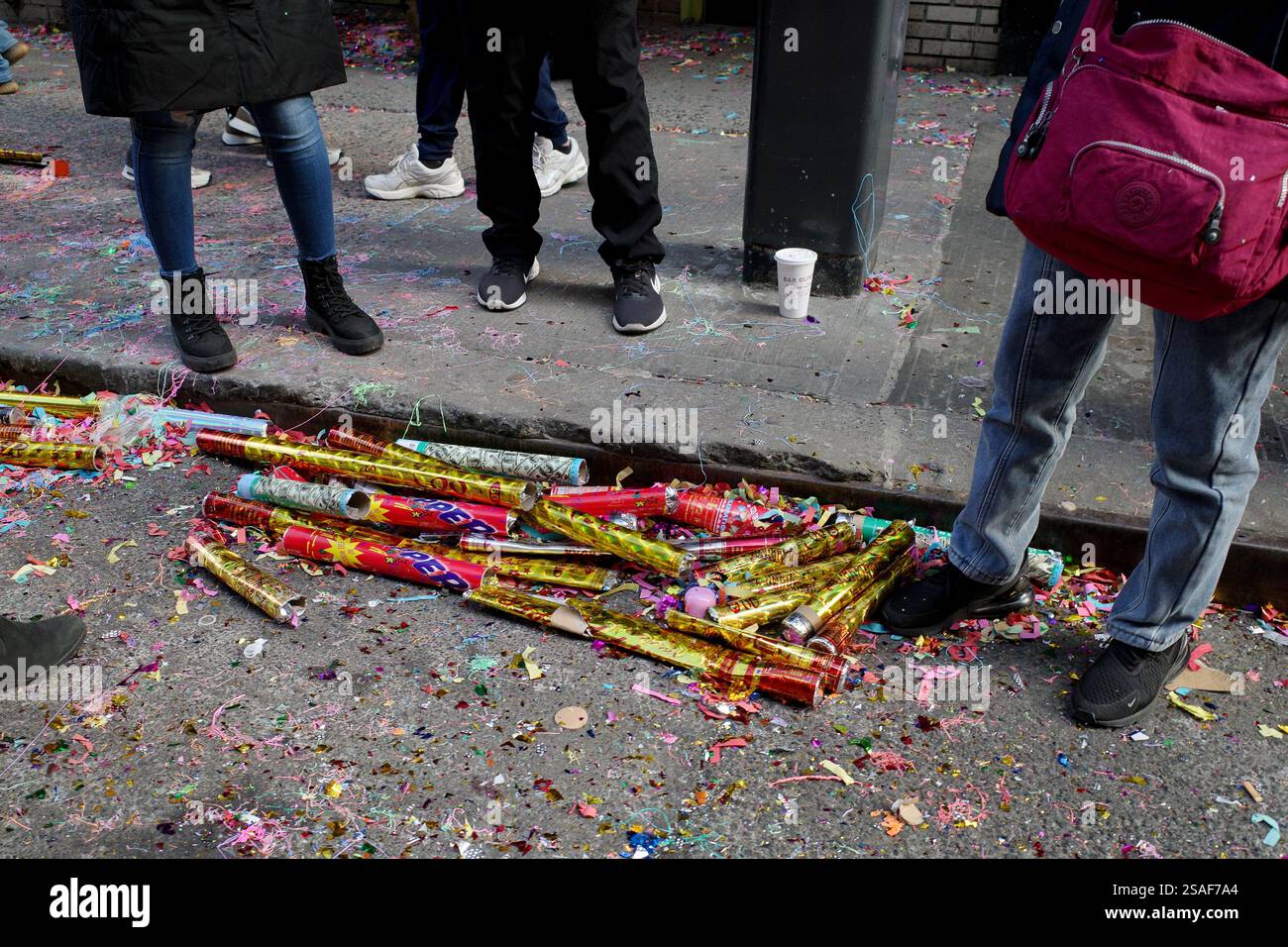 is chinese new year celebrated in usa