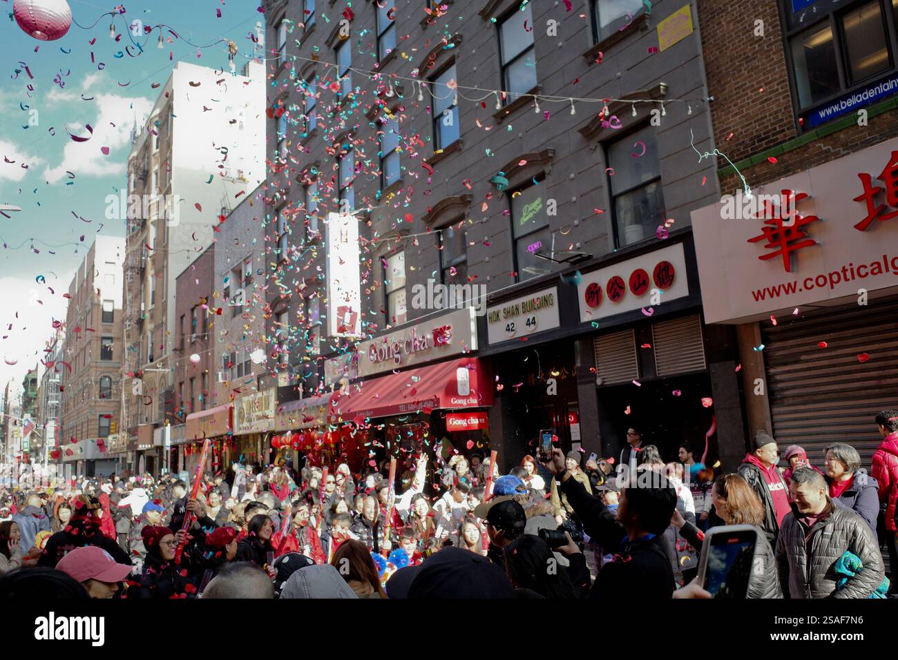 chinese new year 2025 nys