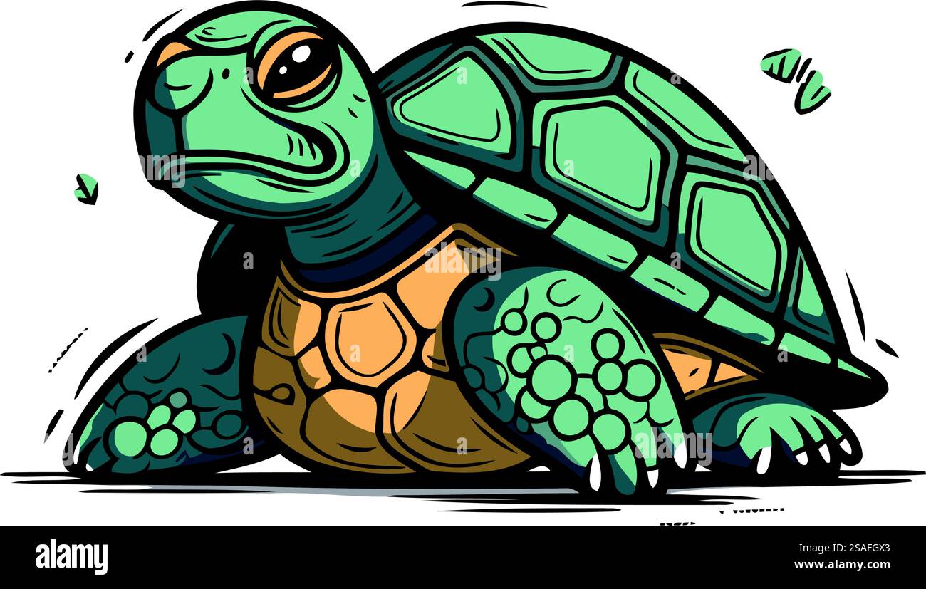 Turtle. Hand drawn vector illustration isolated on white background ...