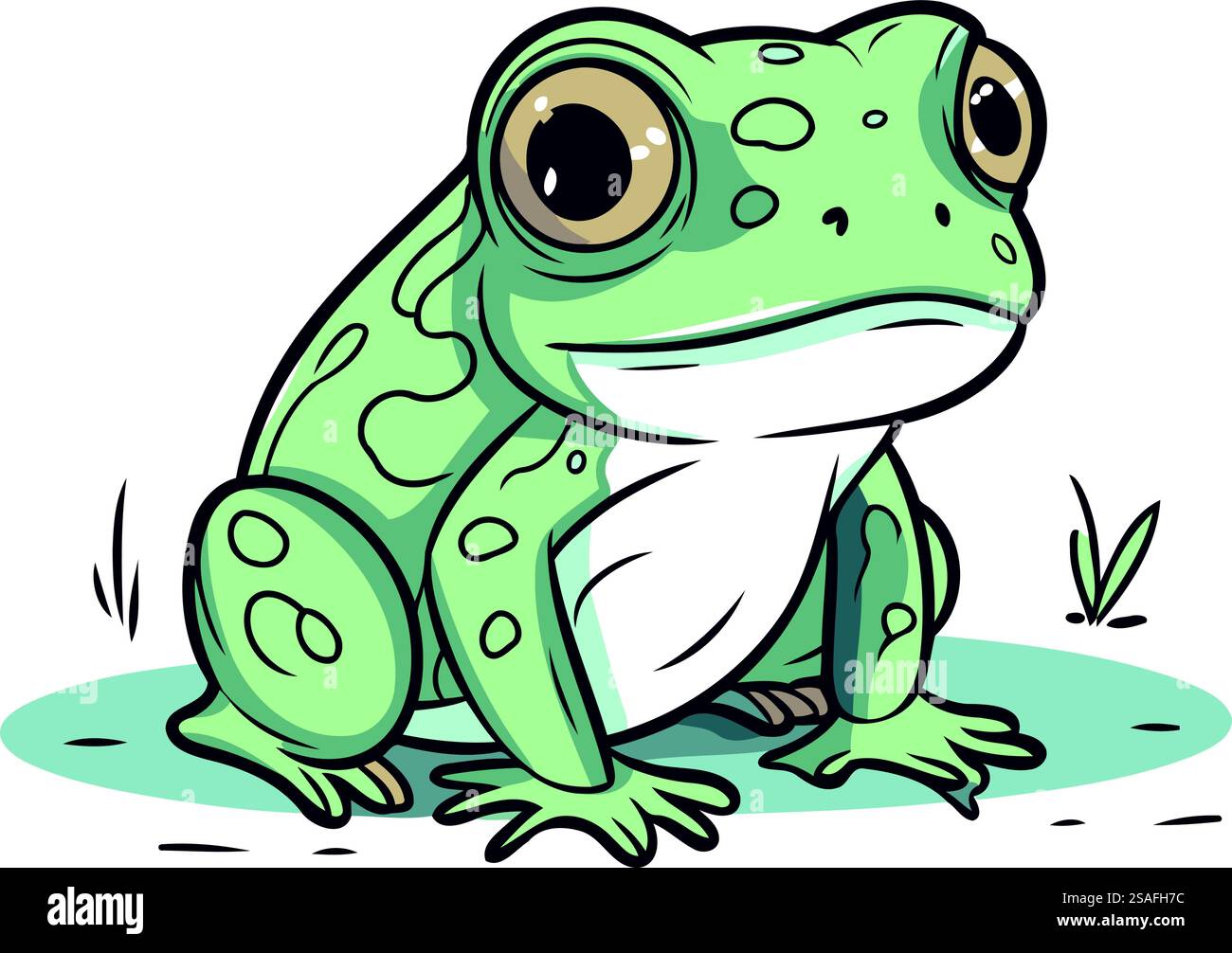 Frog cartoon vector illustration. Isolated on a white background Stock ...