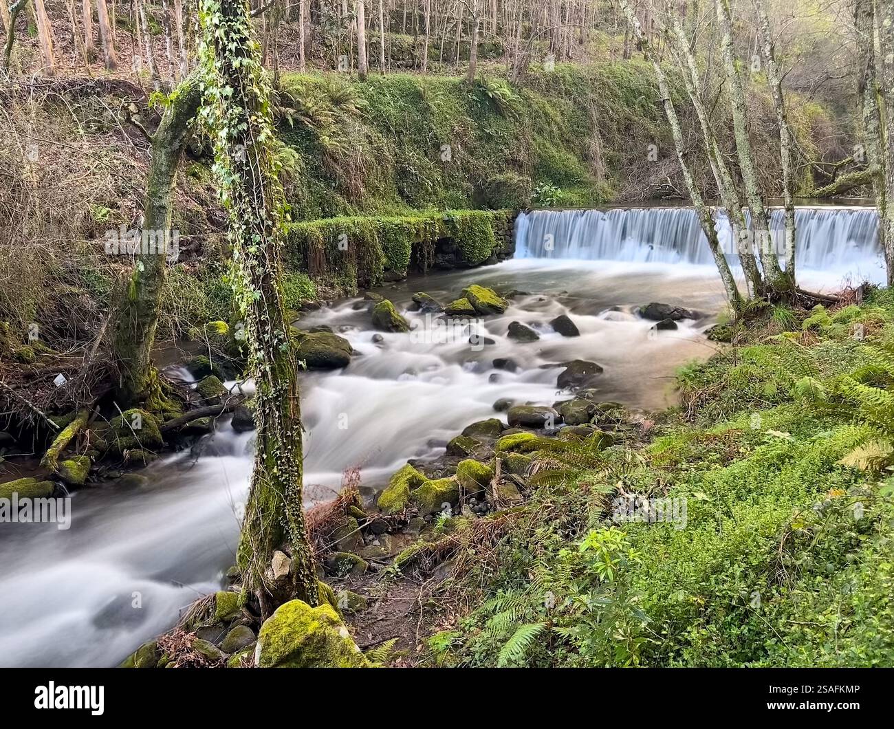 Water rushes over rocks and a small dam, creating a dynamic scene near ...