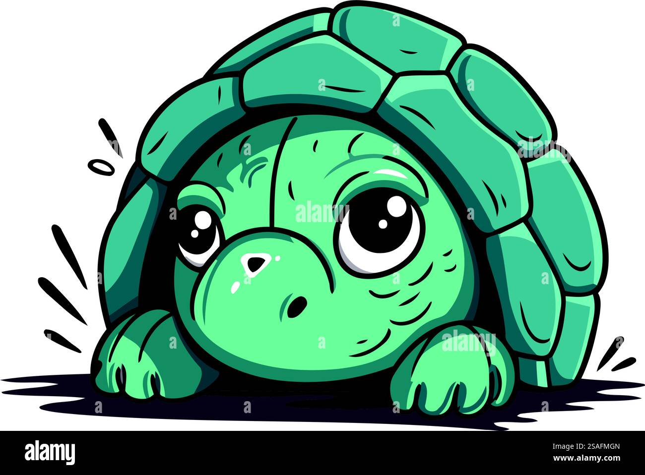 Cute cartoon turtle. Vector illustration isolated on a white background ...