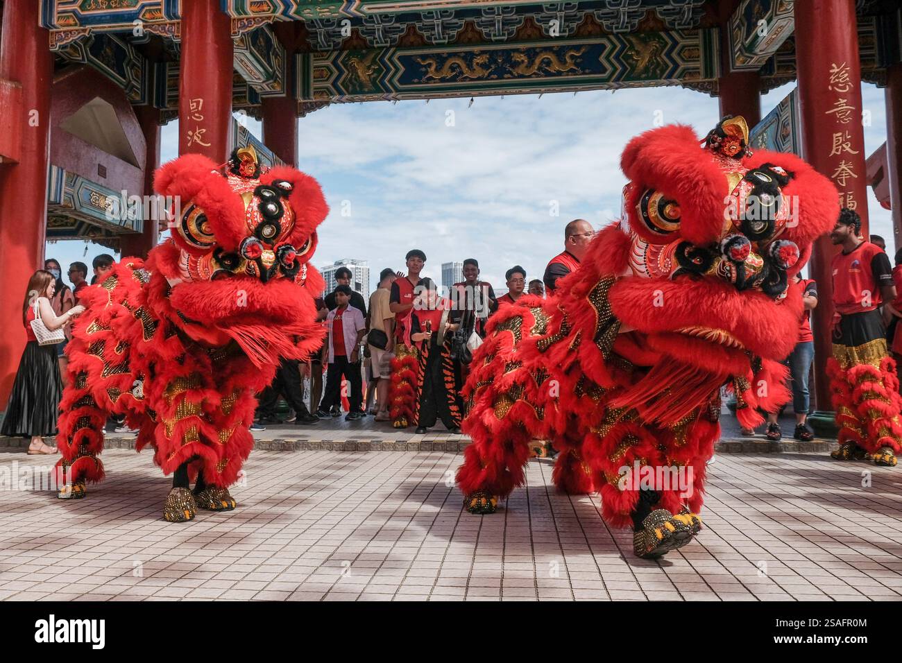 lion dance performance during chinese new year