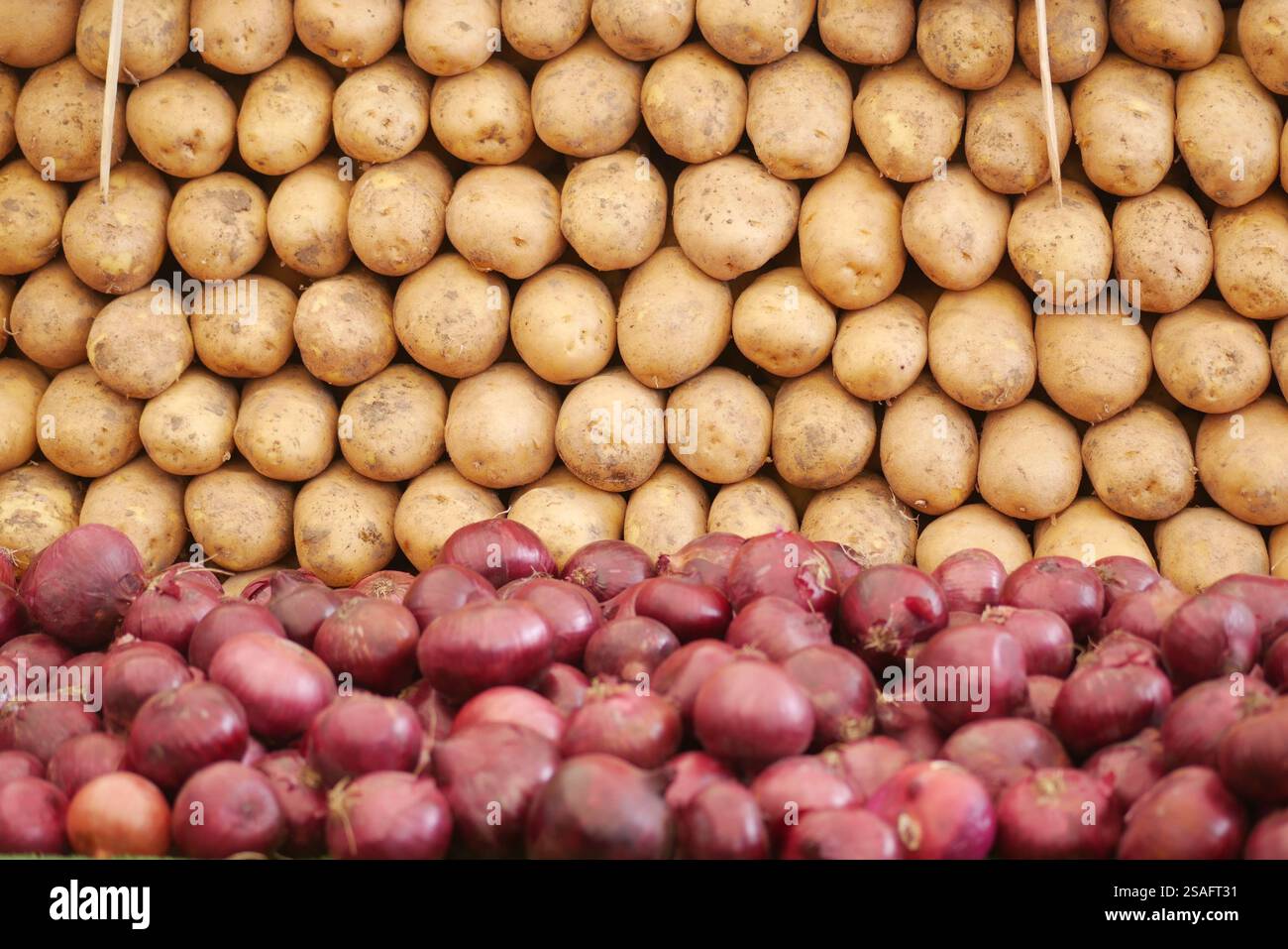 Yellow Rooth Vegetable Yellow root vegetables hi-res stock photography and images - Alamy
