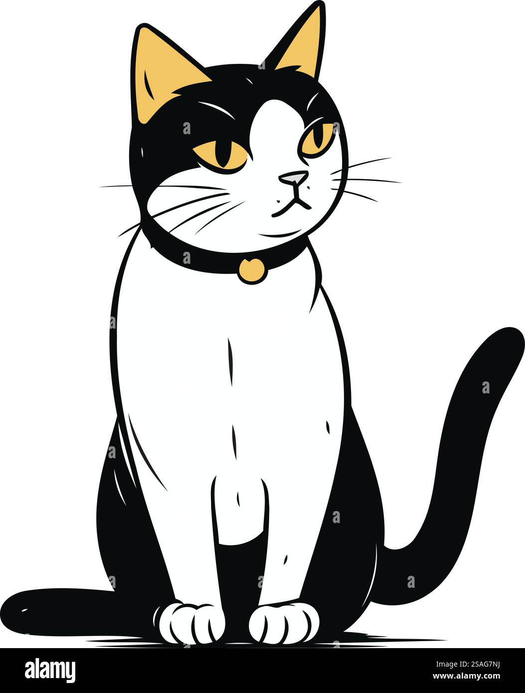 Black and white cat sitting on a white background. Vector illustration ...