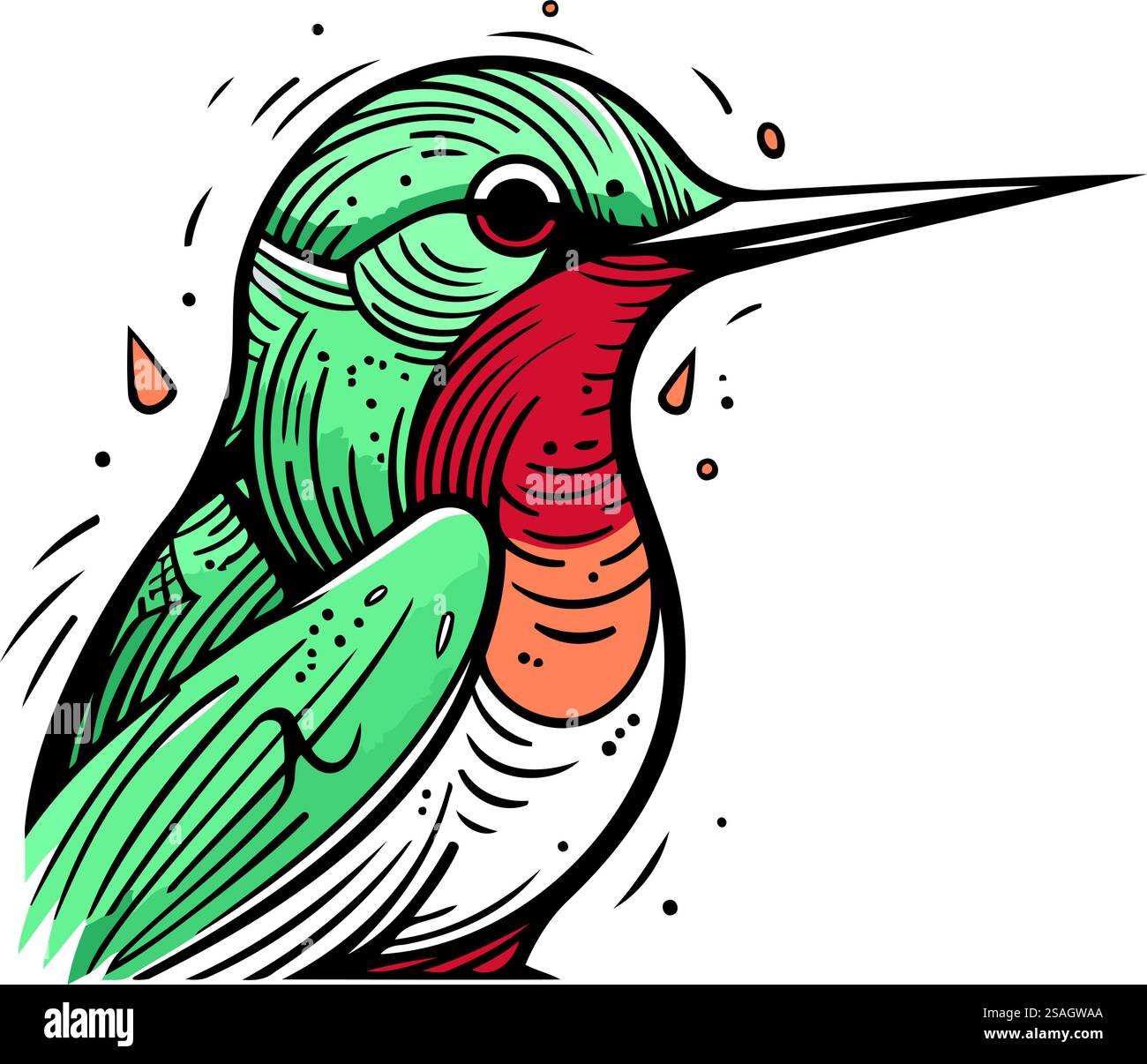 Hummingbird hand drawn vector illustration in cartoon style isolated on ...