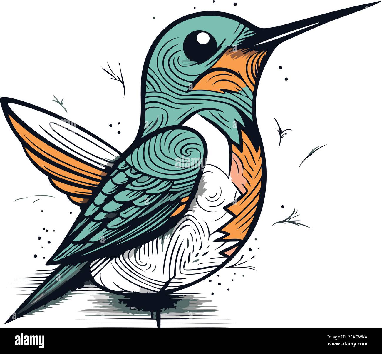 Hummingbird. Hand drawn vector illustration. Isolated on white ...