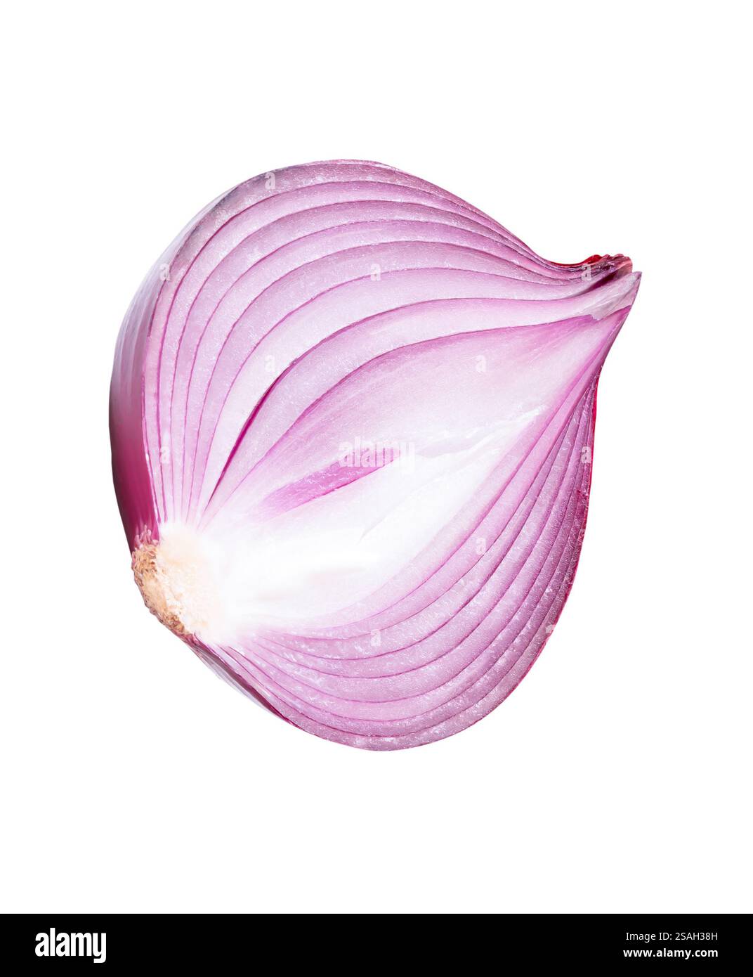 Top view of big red or purple onion bulb in half is isolated on white ...