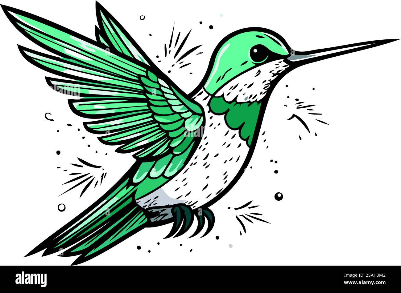 Hummingbird. Hand drawn vector illustration isolated on white ...