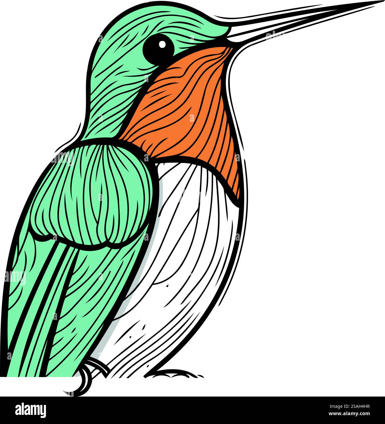 Kingfisher bird. Hand drawn vector illustration in sketch style Stock ...