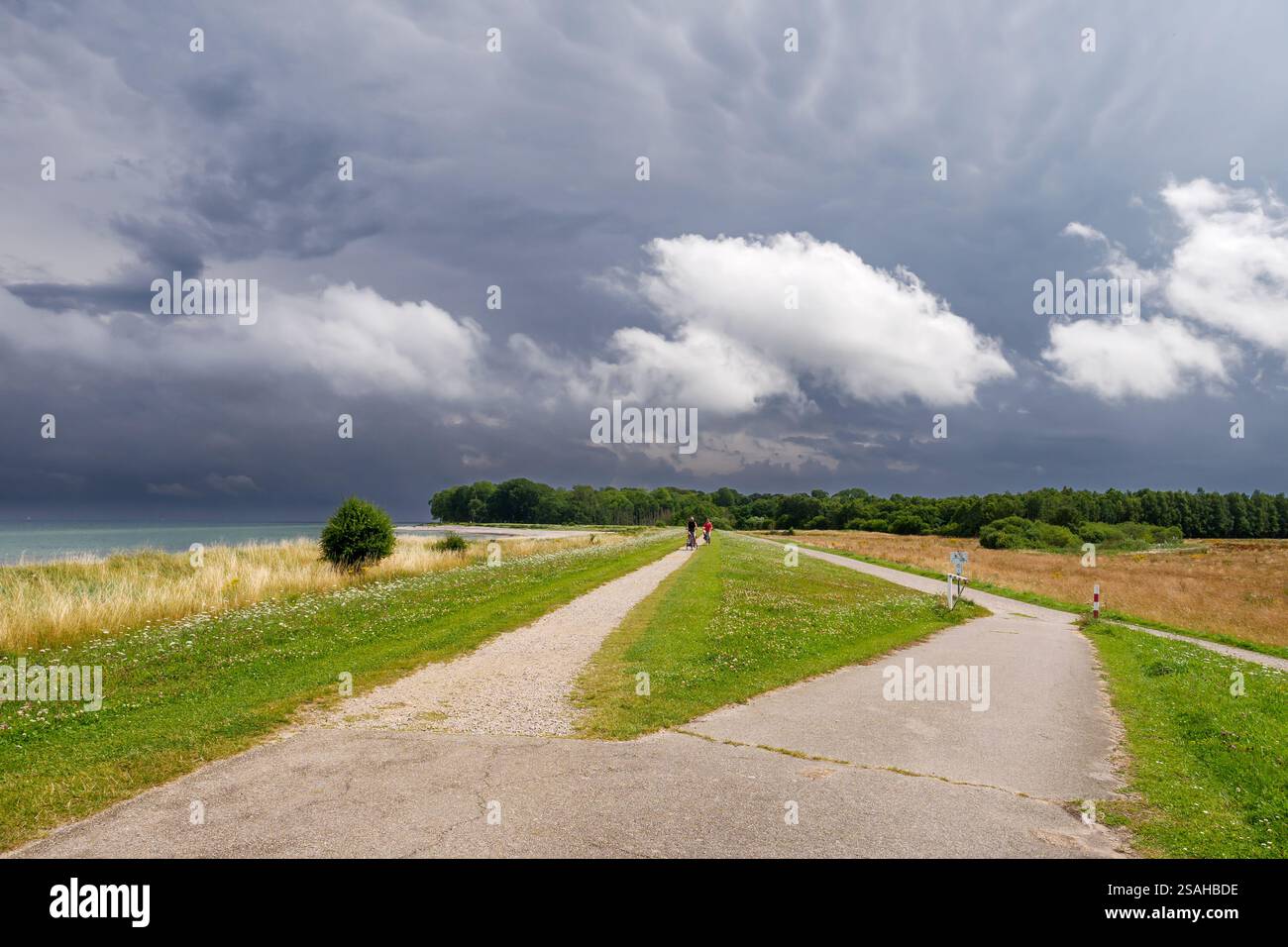 Baltic sea coastal cycle path hi-res stock photography and images - Alamy