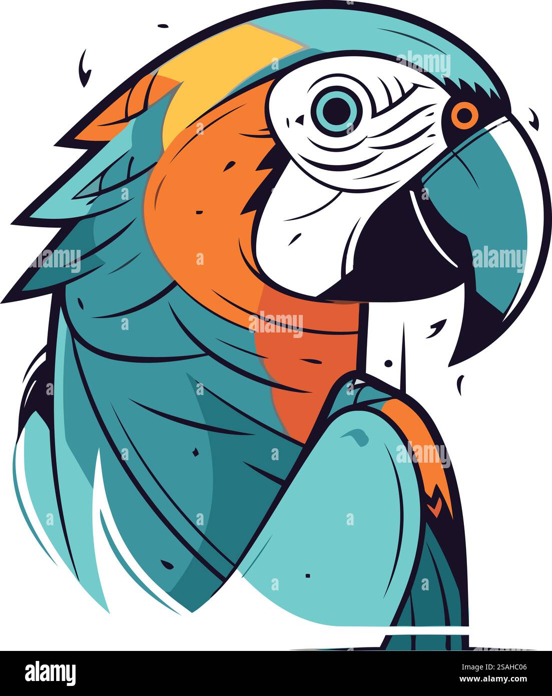 Vector illustration of a macaw parrot isolated on white background ...