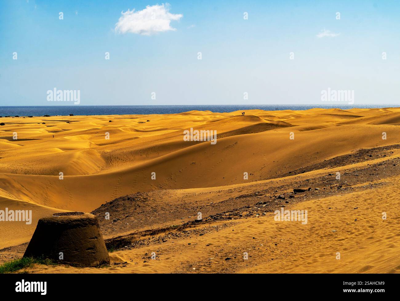 A vast desert landscape with rolling sand dunes under a clear blue sky ...