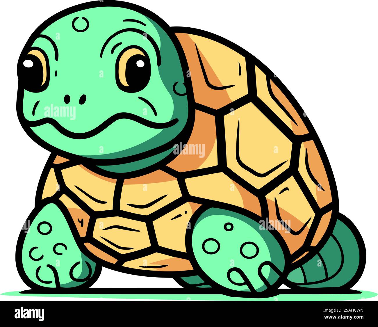Cute cartoon turtle. Vector illustration isolated on a white background ...