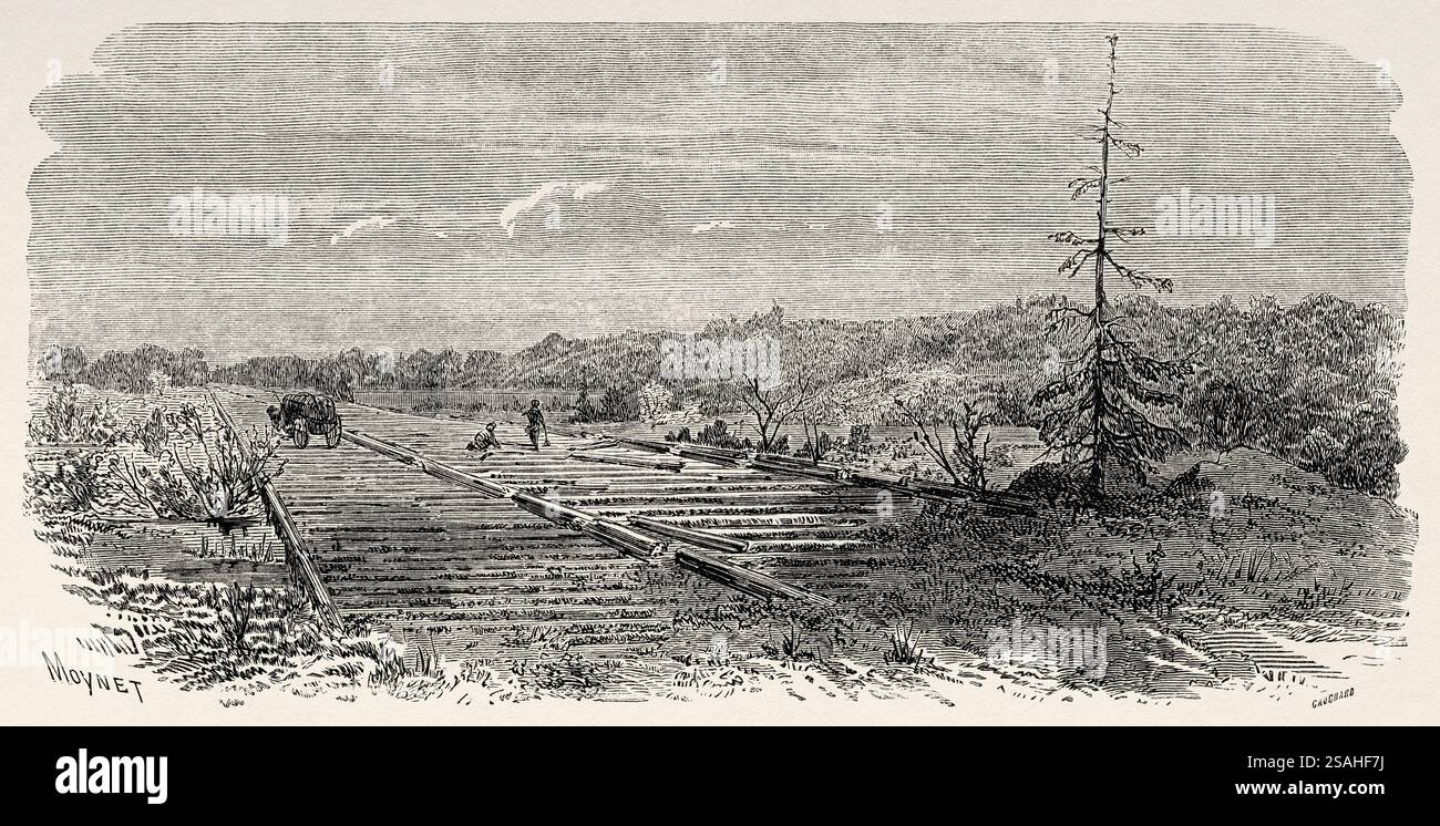 Moynet Construction of a wooden path. Russia, drawing by Moynet, from The ...