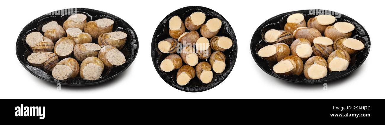 frozen snails on the plate, on a white background. Stock Photo