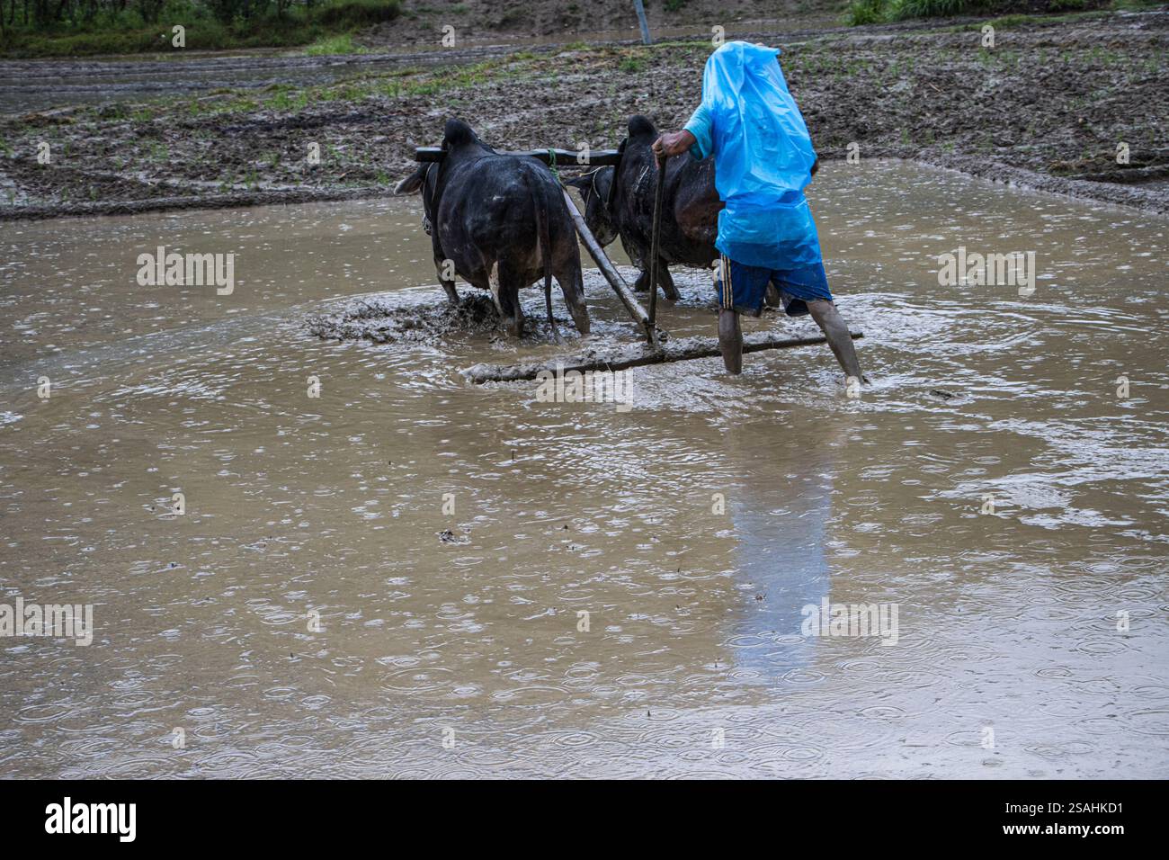 Curated visual reference: Visual Reference: Farmers Of Barala Village In The Salyan District Use Both