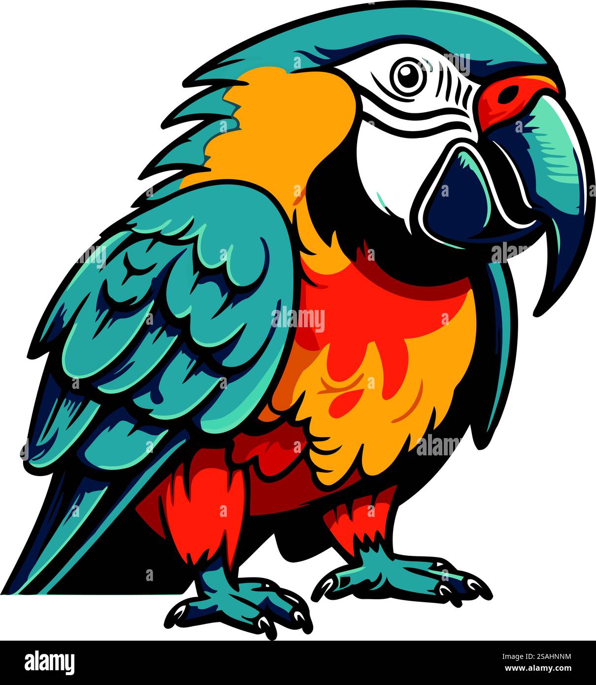 Colorful macaw parrot isolated on white background. Vector illustration ...