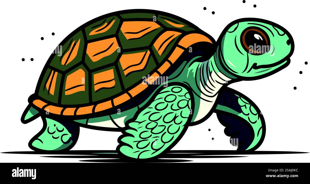 Turtle vector illustration on white background. Vector illustration of ...