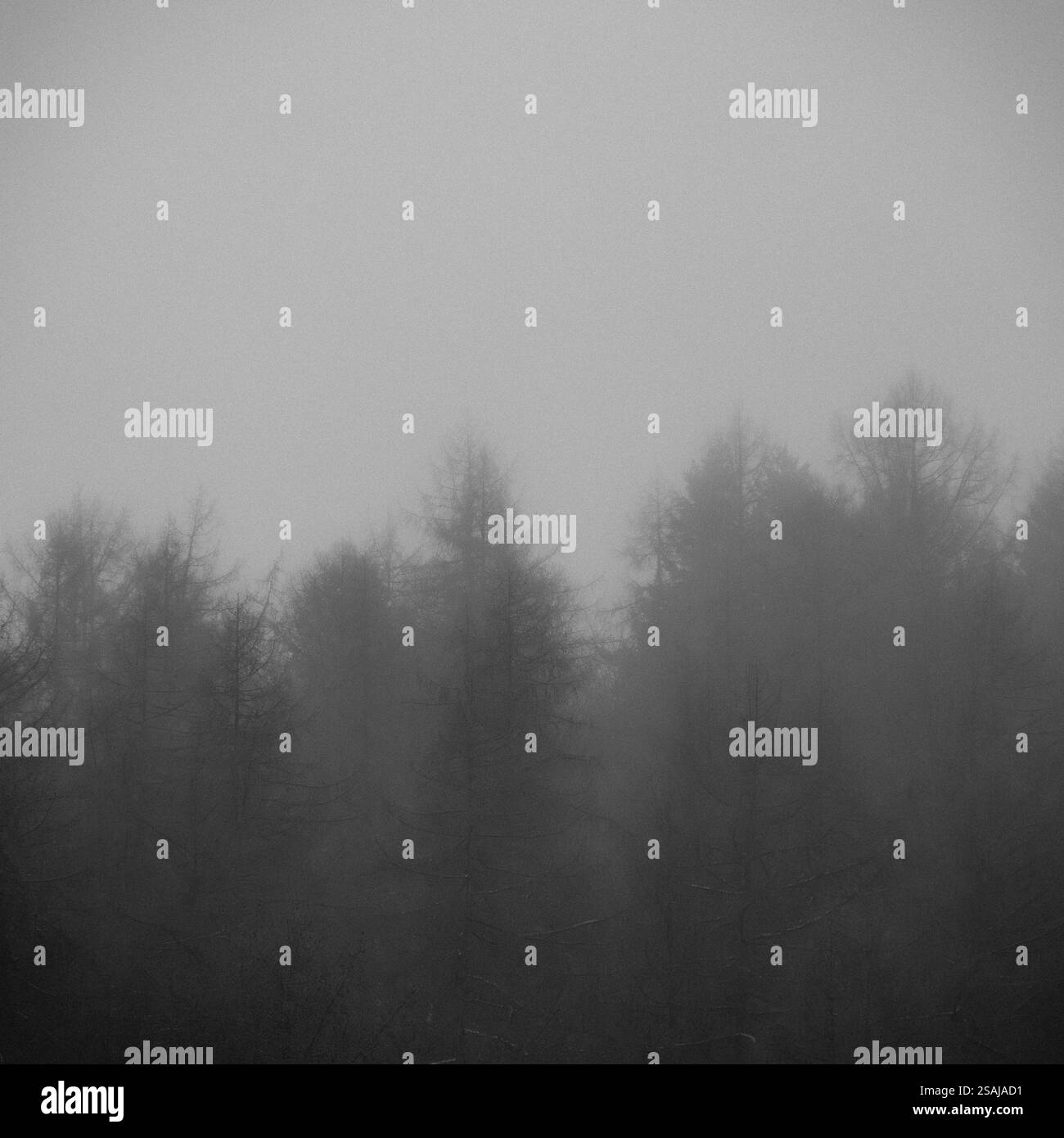 Travel like long Black and White Stock Photos & Images - Alamy