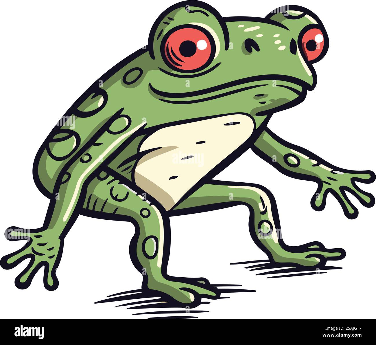 Frog vector illustration. Cartoon frog. Vector illustration of a frog ...