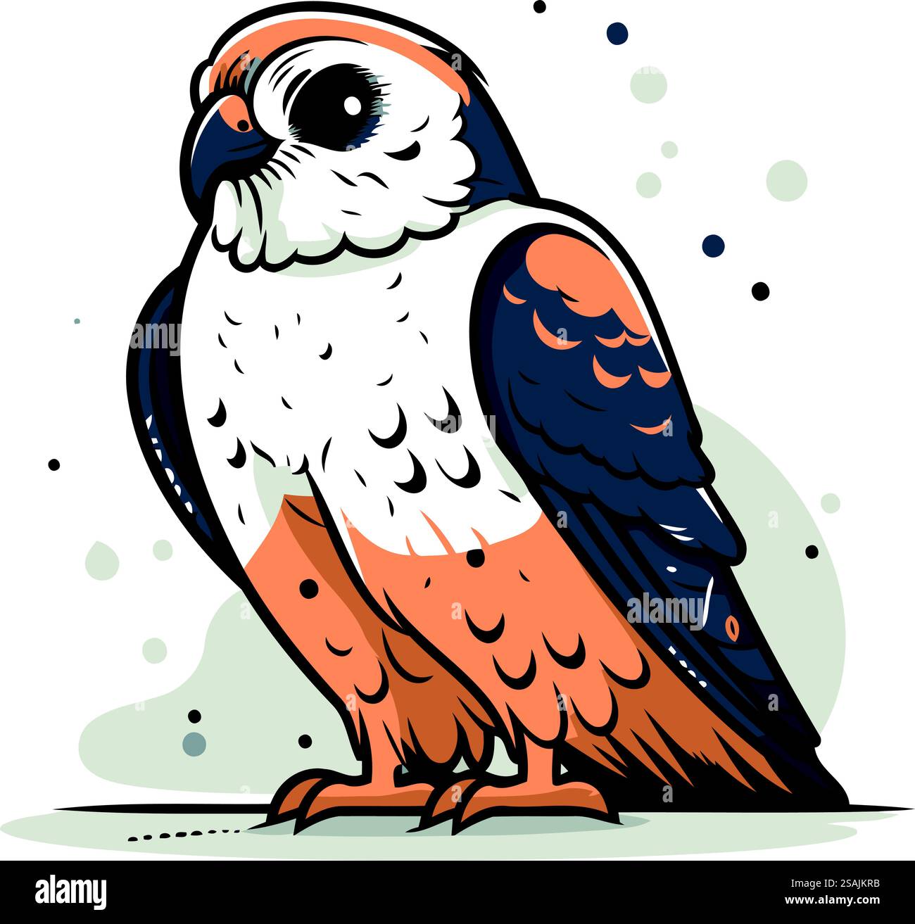 Vector illustration of a hawk. Isolated on a white background Stock ...