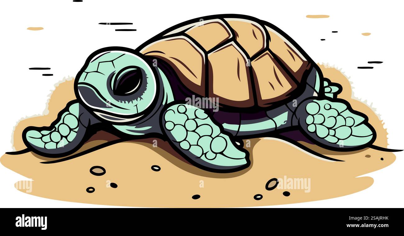 Turtle on the beach. Vector illustration of a cartoon turtle Stock ...