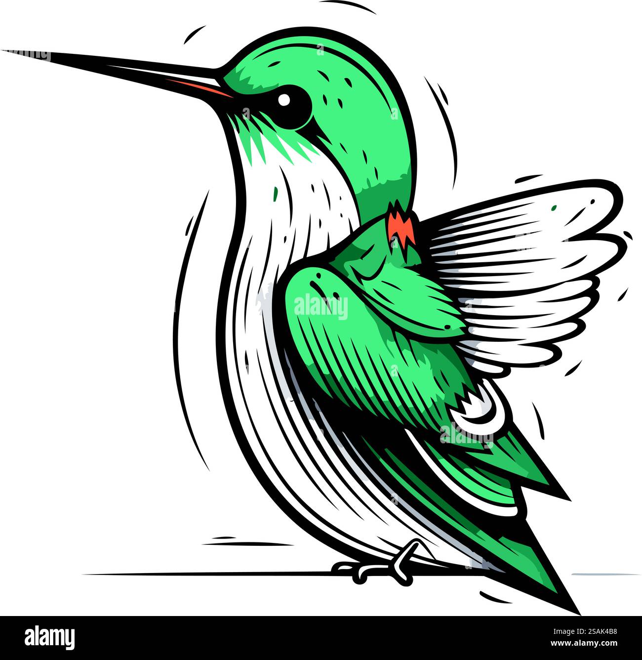 Hummingbird. Hand drawn vector illustration of a hummingbird Stock ...