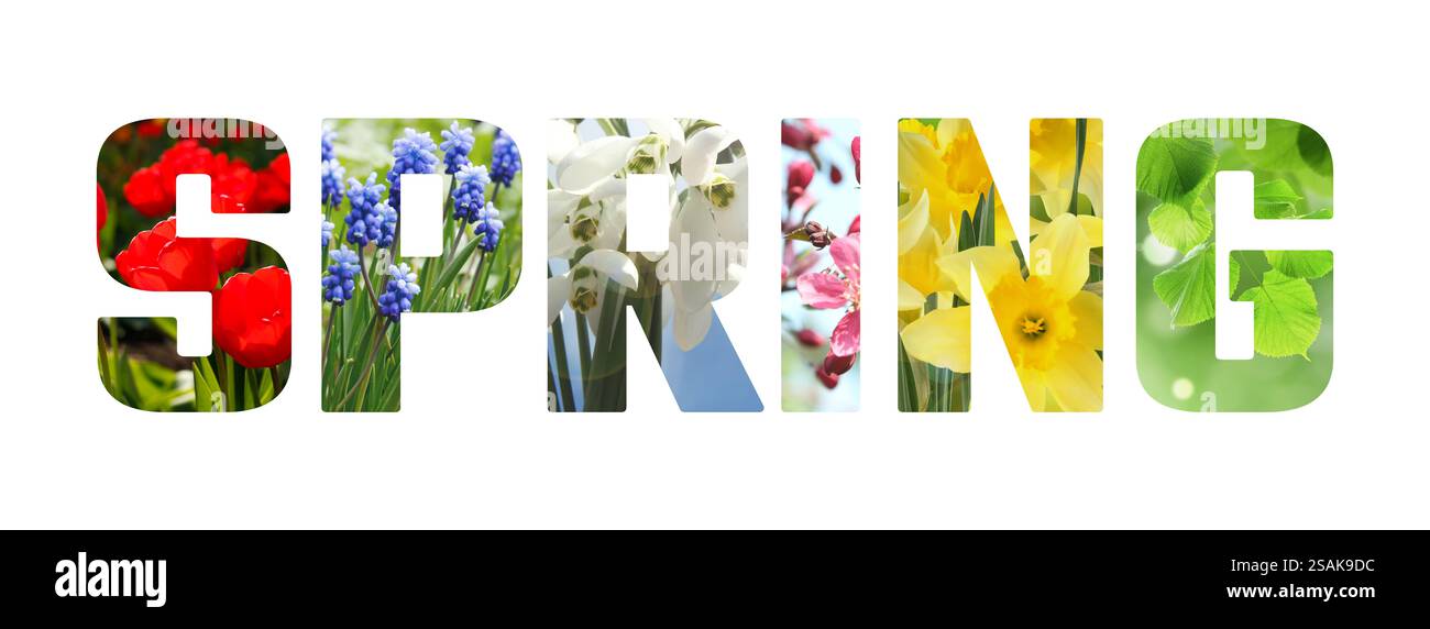 Spring word with seasonal plants inside letters on white background ...