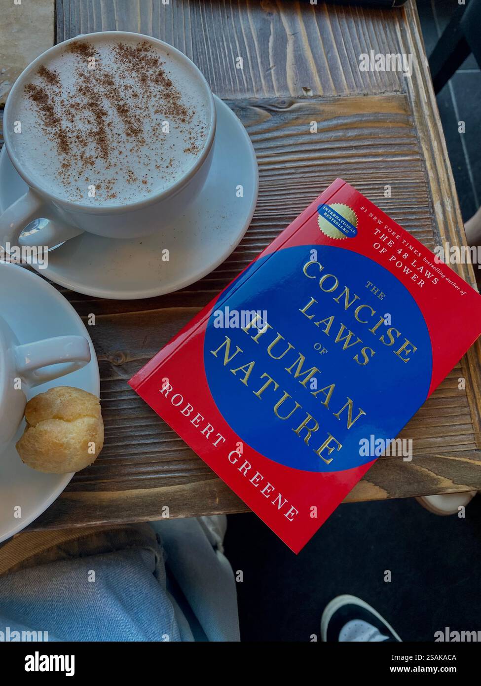 The Laws Of Human Nature, Robert Greene - Smartphone Captured Stock Image
