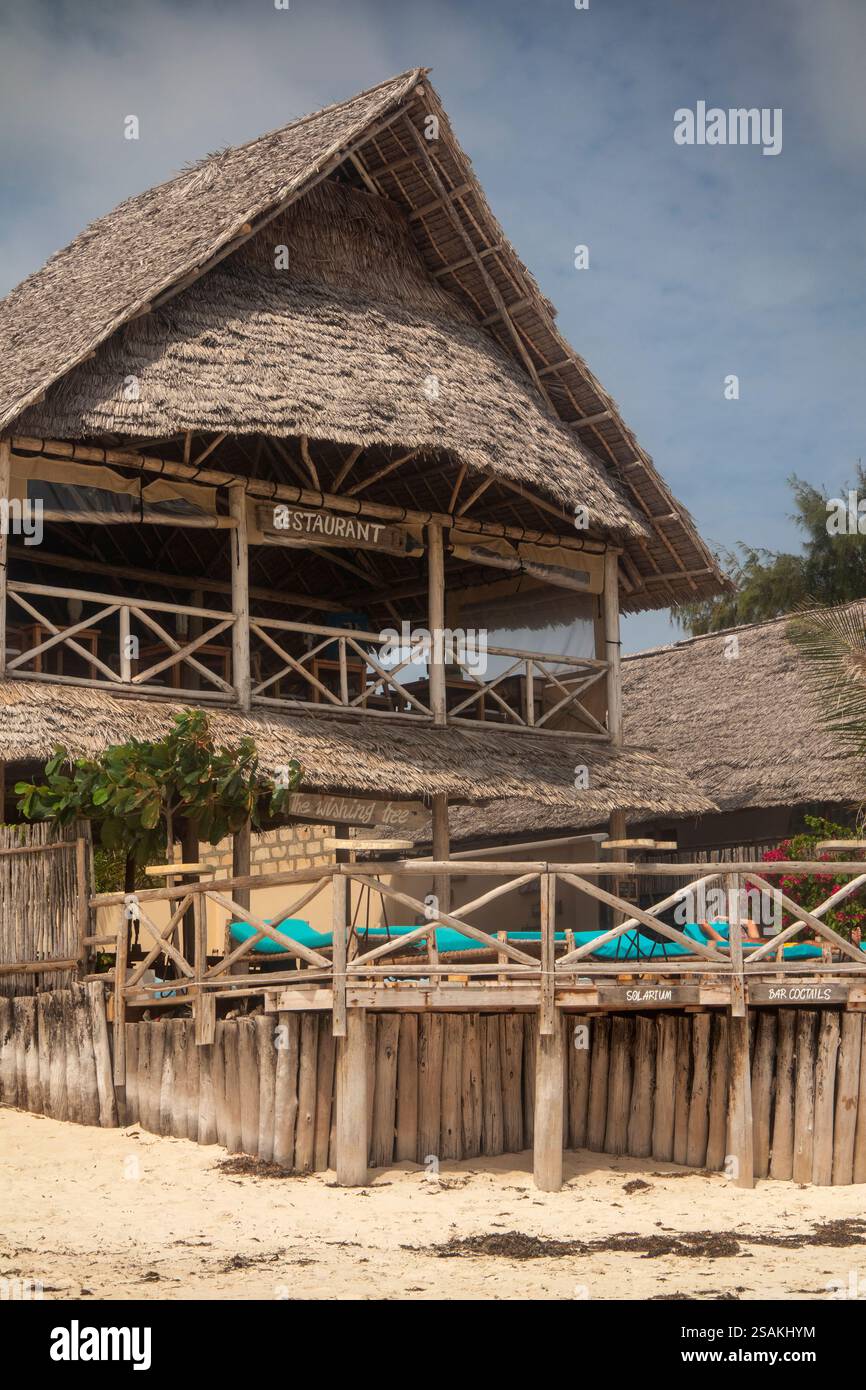 africa-tanzania-zanzibar-east-coast-pingwe-beach-the-wishing-tree