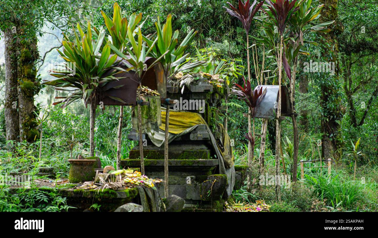 A sacred worship site deep within the dense forests of Mount Abang. Carefully arranged offerings reflect the strong Hindu Balinese traditions, making Stock Photo