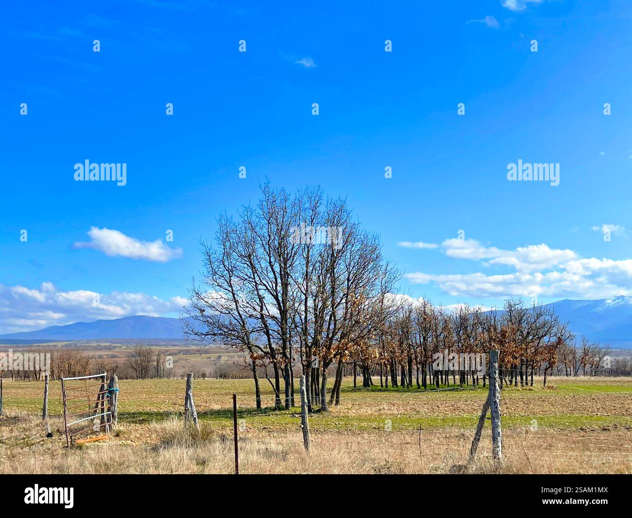 Landscape. Segovia province, Castilla Leon, Spain. - Smartphone Captured Stock Image