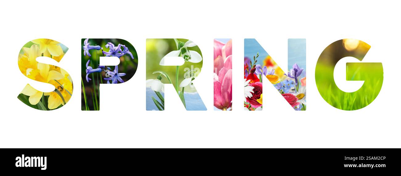 Spring word with seasonal plants inside letters on white background ...