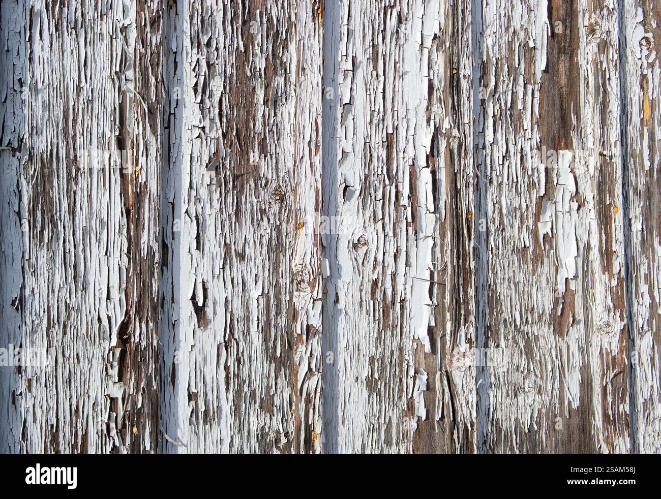 old weathered wooden fence background wihte peeling white color Stock Photo