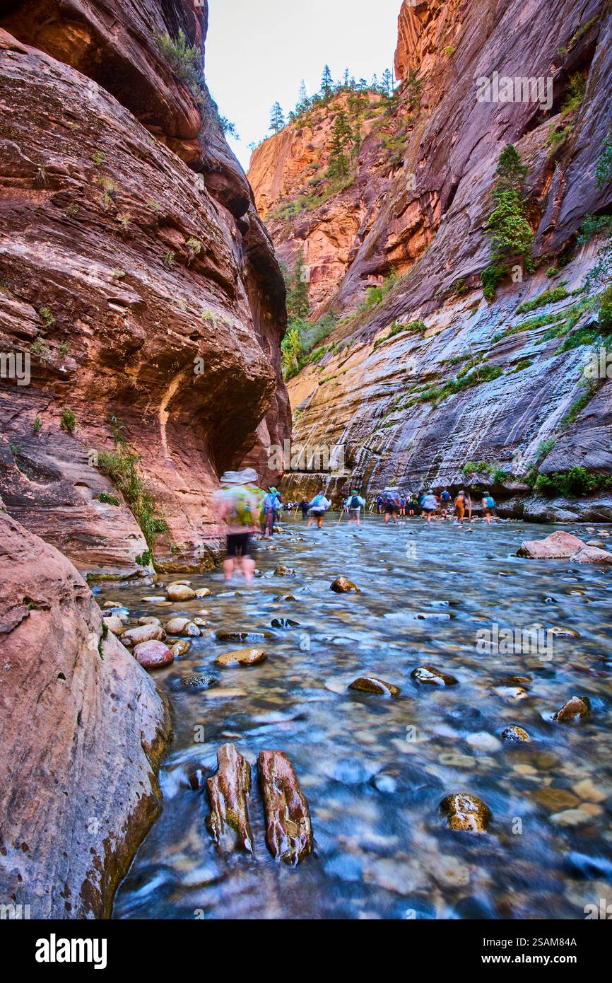 Hikers Exploring The Narrows Zion Canyon Motion Perspective Stock Photo