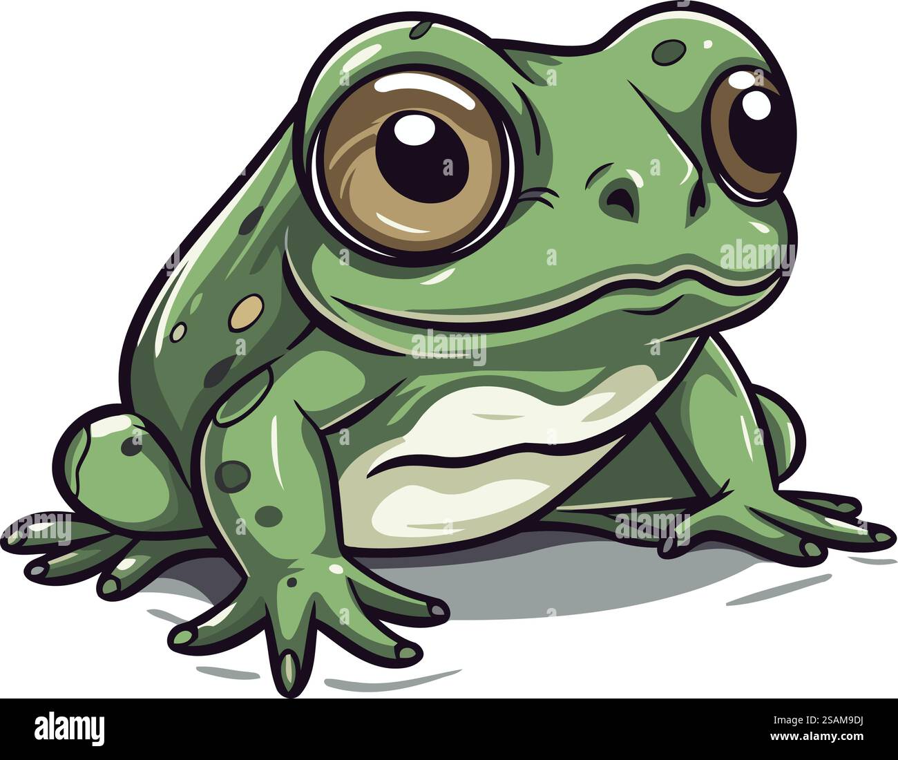 Frog isolated on white background. Vector illustration. Eps 10 Stock ...