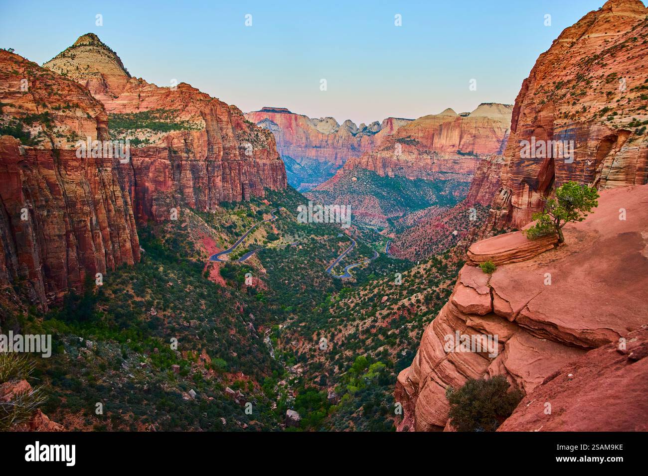 Illustration of Canyon Perspectives