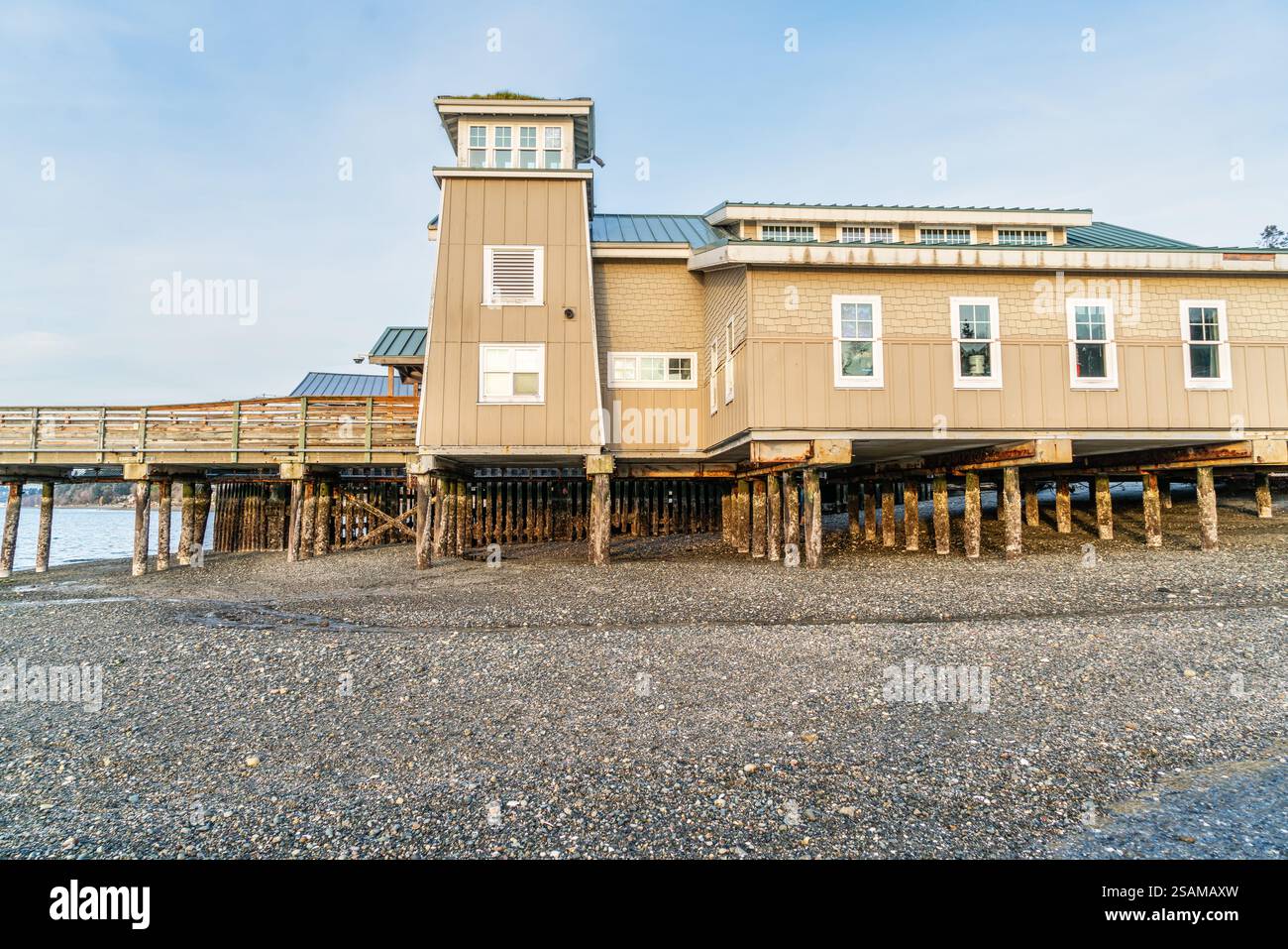 Pier pilings at low tide in Redondo Beach, Washington Stock Photo Alamy