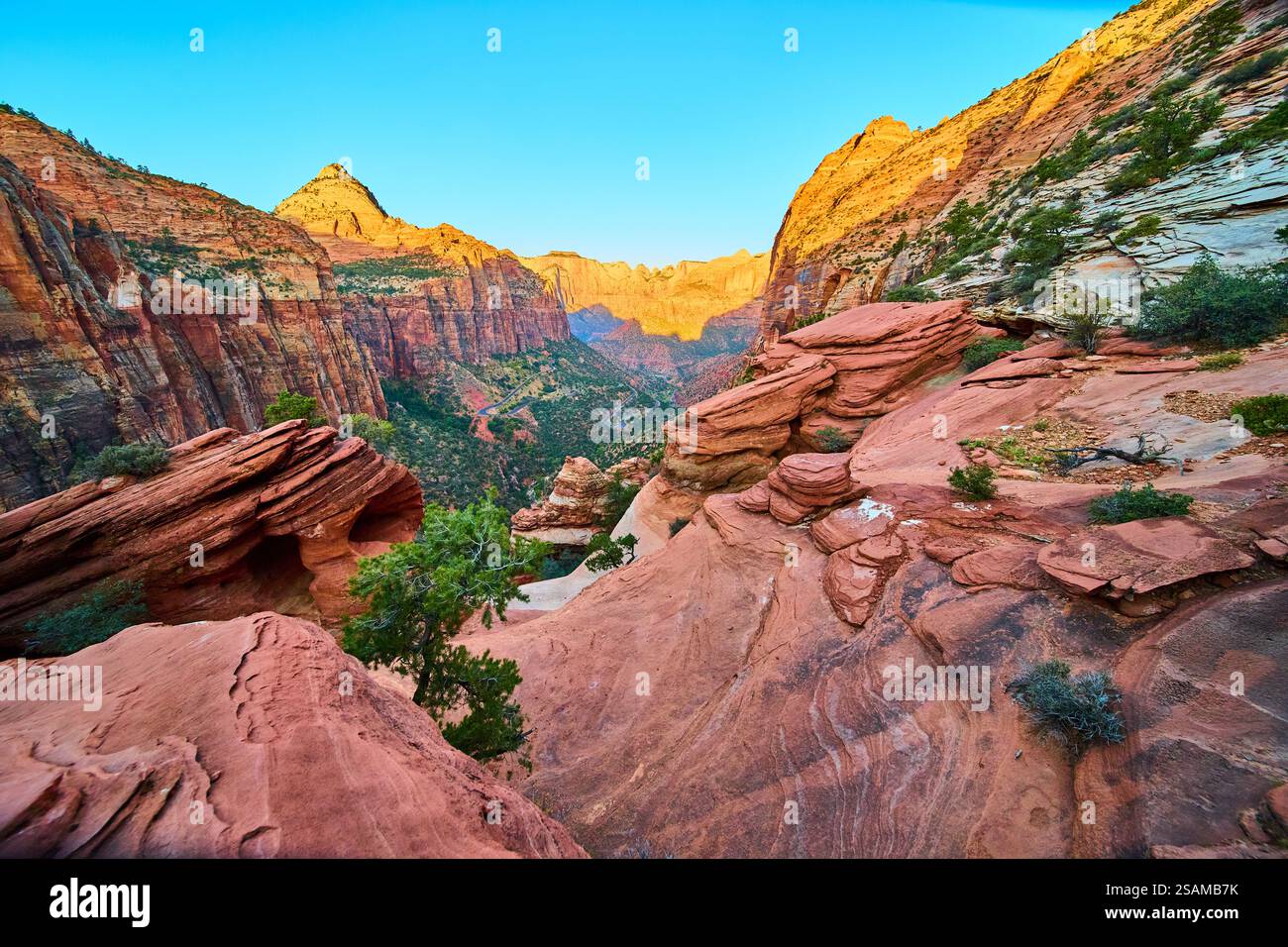 Zion Sandstone Cliffs at Golden Hour with Valley View Stock Photo - Alamy