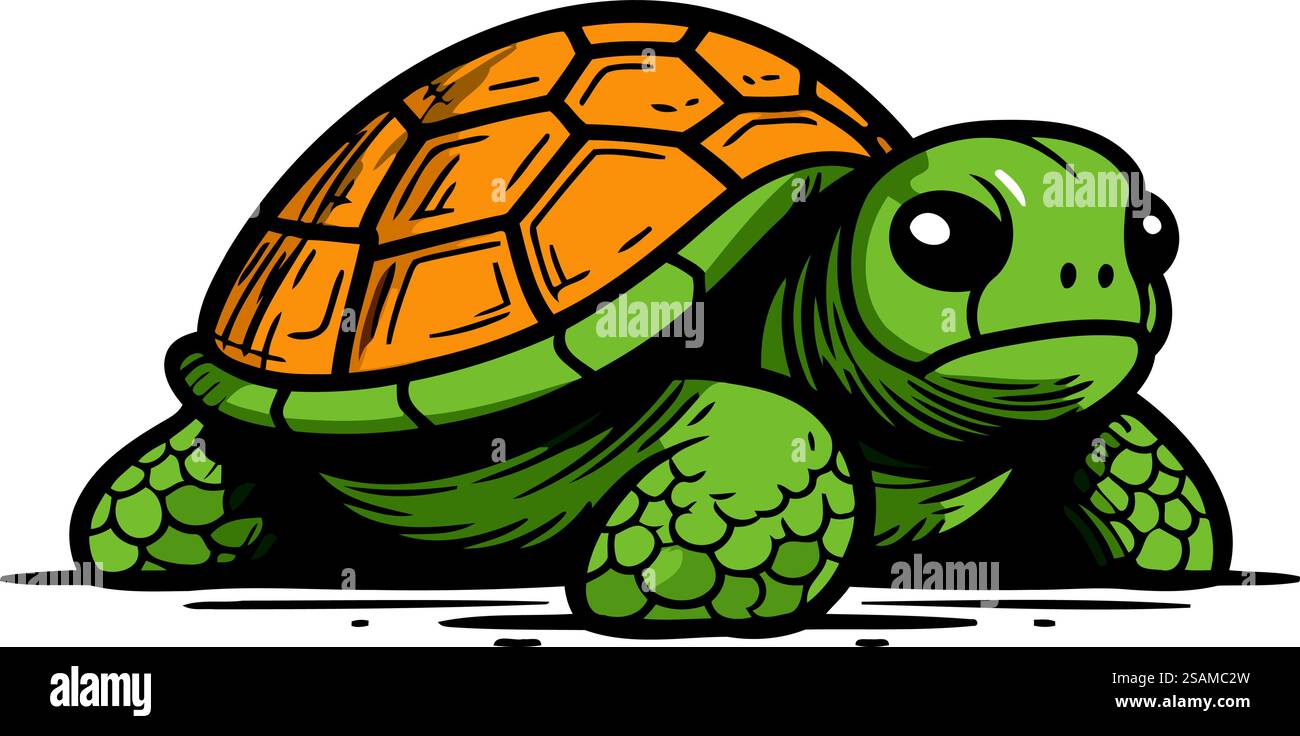 Tortoise vector illustration. isolated on white background. Hand drawn ...