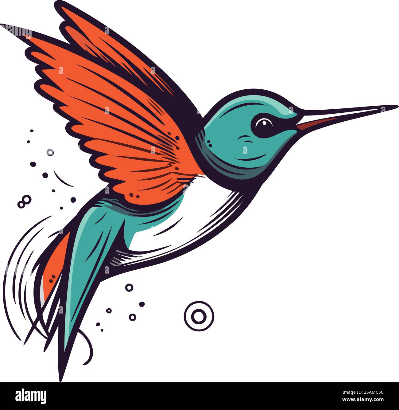 Hummingbird vector illustration. Isolated on a white background Stock ...